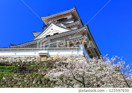 [高知縣] 晴朗的高知城，櫻花盛開 123597830