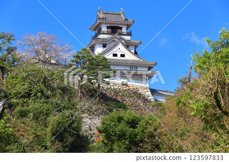 [高知縣] 晴朗的高知城，櫻花盛開 123597833