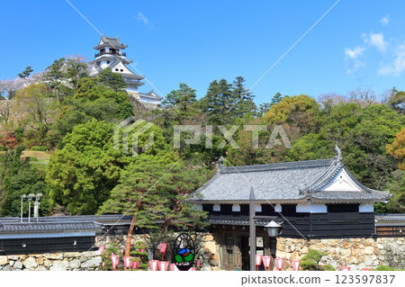 [Kochi Prefecture] Kochi Castle, Otemae Gate and cherry blossoms in full bloom on a clear day 123597837