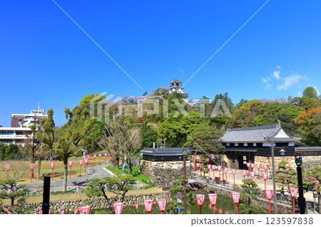 [Kochi Prefecture] Kochi Castle, Otemae Gate and cherry blossoms in full bloom on a clear day 123597838