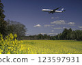 Airplane flying over a rapeseed field 123597931