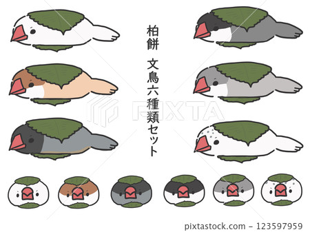 A set of six kinds of Java sparrows in kashiwamochi style 123597959