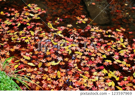 Kimpo Temple 123597969