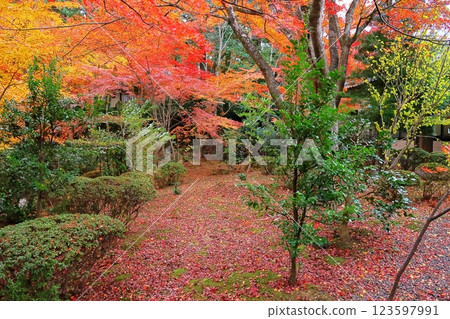 金浦寺 金浦寺 123597991