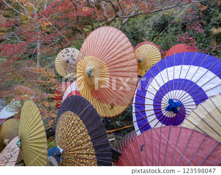 Japanese umbrellas in a Japanese garden in autumn 123598047