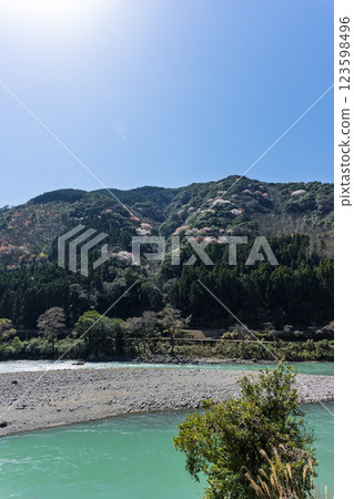 The Nara River and mountain cherry blossoms against the backdrop of a clear spring sky (Hitoyoshi, Kumamura) 123598496