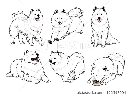 薩摩耶的各種姿勢的手繪插畫集 薩摩耶的各種姿勢的手繪插畫集 123598604