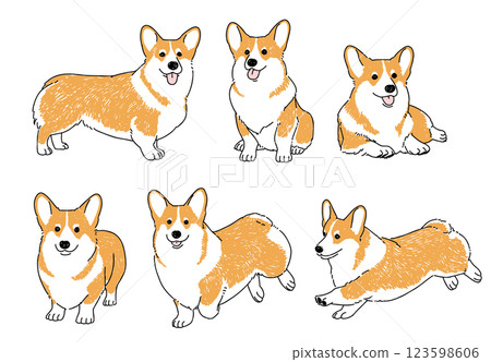 Hand-drawn illustration set of Corgis in various poses 123598606