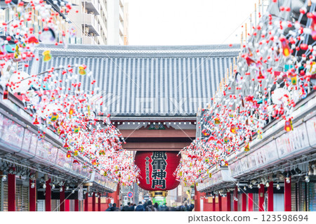 "Tokyo" Kaminarimon Gate seen from Nakamise, Sensoji Temple in Asakusa 123598694