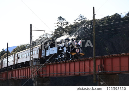 Steam locomotive crossing the bridge 123598830