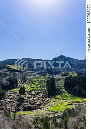 梯田裡的蓮花和油菜花的春天風景“松谷梯田(日本百佳梯田)” 熊本人吉 梯田裡的蓮花和油菜花的春天風景“松谷梯田(日本百佳梯田)” 熊本人吉 123598972