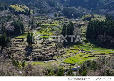 梯田裡的蓮花和油菜花的春天風景“松谷梯田(日本百佳梯田)” 熊本人吉 梯田裡的蓮花和油菜花的春天風景“松谷梯田(日本百佳梯田)” 熊本人吉 123598986
