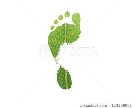 green leaf growing footprints, co2 symbol isolated on White Background. Reduce CO2 emission concept.Clean and friendly environment without carbon dioxide emissions.With clipping path. 123599005