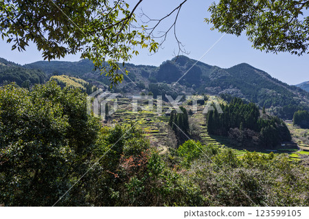 梯田裡的蓮花和油菜花的春天風景“松谷梯田（日本百佳梯田）” 熊本人吉 123599105