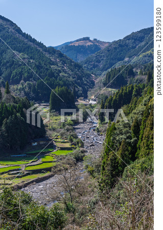 梯田裡的蓮花和油菜花的春天風景“松谷梯田（日本百佳梯田）” 熊本人吉 123599180