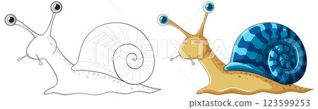 Cute Snail Vector Illustration and Outline Cute Snail Vector Illustration and Outline 123599253