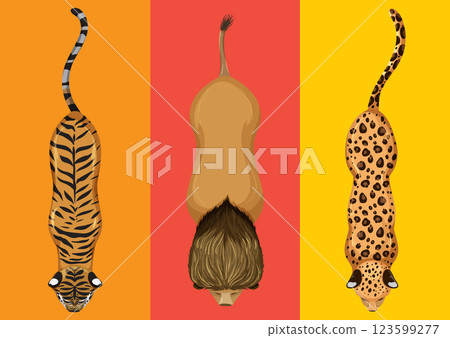 Wild Cats in Vibrant Colors Wild Cats in Vibrant Colors 123599277