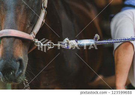 馬 馬兒 騎馬 123599688