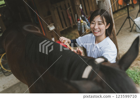 horse, female, females 123599710