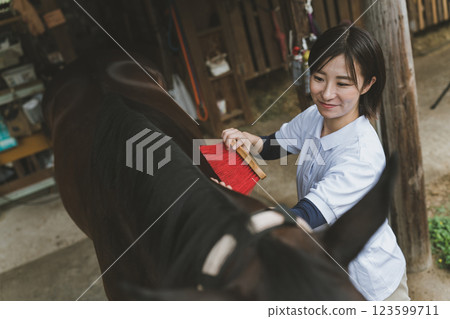 horse, female, females 123599711