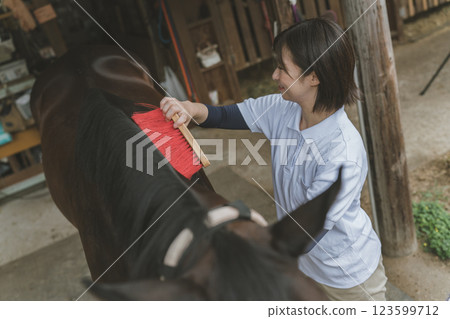 horse, female, females 123599712