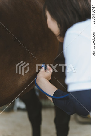 horse, veterinarian, veterinary 123599744