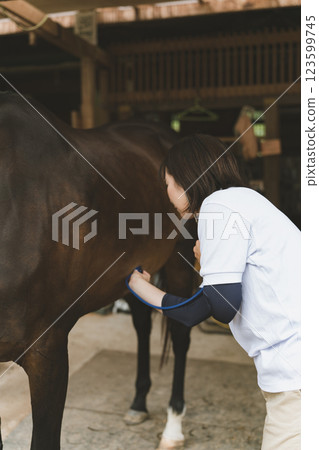 馬 馬兒 獸醫 123599745