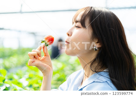 A woman picking strawberries A woman picking strawberries A woman picking strawberries A woman picking strawberries 123599774