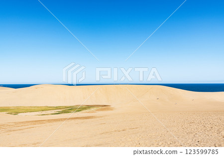 Tottori City, Tottori Prefecture, Tottori's representative tourist destination, sunny Tottori Sand Dunes 123599785