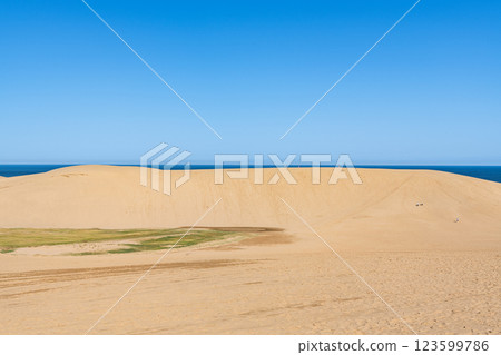 Tottori City, Tottori Prefecture, Tottori's representative tourist destination, sunny Tottori Sand Dunes 123599786