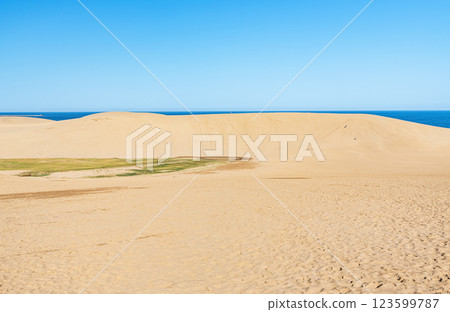 Tottori City, Tottori Prefecture, Tottori's representative tourist destination, sunny Tottori Sand Dunes 123599787