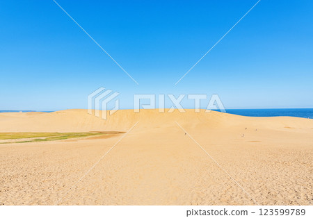 鳥取縣鳥取市，鳥取的代表旅遊勝地，陽光明媚的鳥取沙丘 123599789