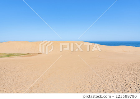 Tottori City, Tottori Prefecture, Tottori's representative tourist destination, sunny Tottori Sand Dunes 123599790