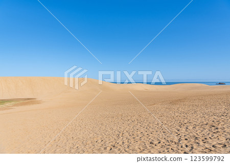 Tottori City, Tottori Prefecture, Tottori's representative tourist destination, sunny Tottori Sand Dunes 123599792