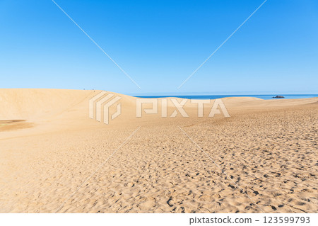 Tottori City, Tottori Prefecture, Tottori's representative tourist destination, sunny Tottori Sand Dunes Tottori City, Tottori Prefecture, Tottori's representative tourist destination, sunny Tottori Sand Dunes 123599793