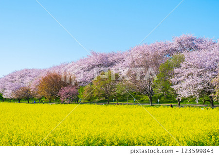 Gyodo神社 Gyodo神社 123599843