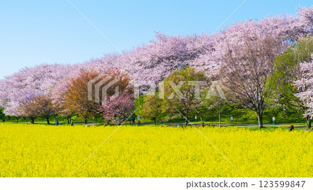Gyodo神社 Gyodo神社 123599847