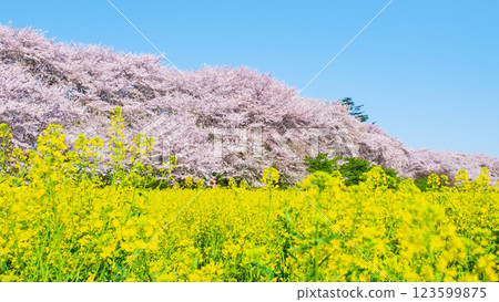 Gyodo Shrine Gyodo Shrine 123599875