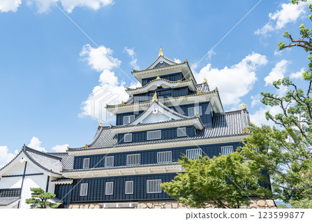 Okayama City, Okayama Prefecture, one of Japan's 100 most famous castles, Okayama Castle tower on a clear day after the major renovation for the Reiwa era 123599877
