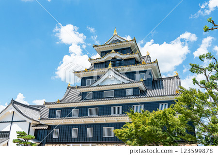 岡山縣岡山市,日本百座名城,令和重大整修後晴天的岡山城塔 岡山縣岡山市,日本百座名城,令和重大整修後晴天的岡山城塔 123599878