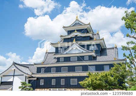 岡山縣岡山市，日本百座名城，令和重大整修後晴天的岡山城塔 123599880