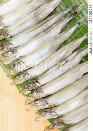 Delicious to eat: Male Sakhalin Shishamo 123600158