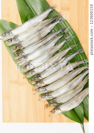 Delicious to eat: Male Sakhalin Shishamo 123600159