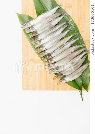 Delicious to eat: Male Sakhalin Shishamo Delicious to eat: Male Sakhalin Shishamo 123600161