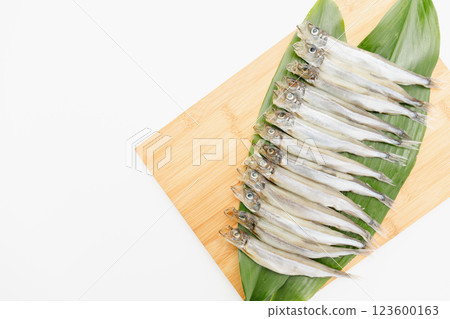 美味可口：雄性薩哈林柳鶯 123600163