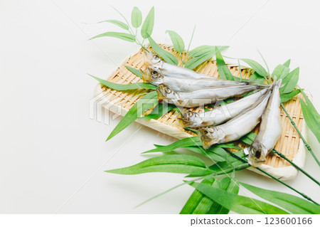 美味可口：雄性薩哈林柳鶯 123600166