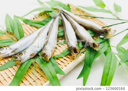 美味可口：雄性薩哈林柳鶯 123600168