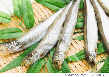 Delicious to eat: Male Sakhalin Shishamo 123600170