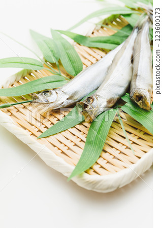 Delicious to eat: Male Sakhalin Shishamo 123600173