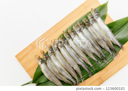 Delicious to eat: Male Sakhalin Shishamo 123600181